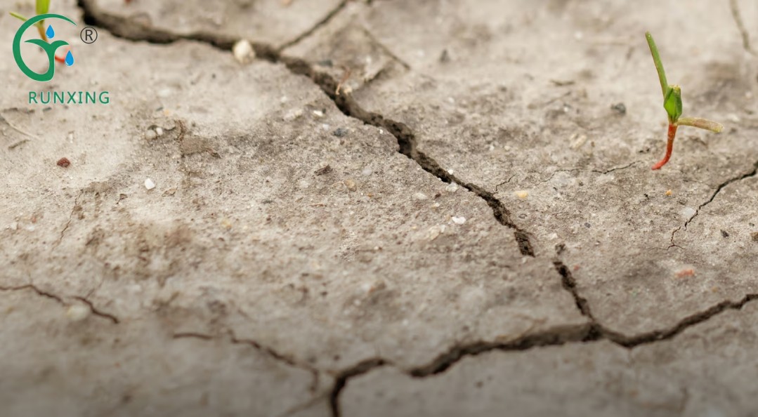 土壤干旱素材.png 土壤干旱素材.png