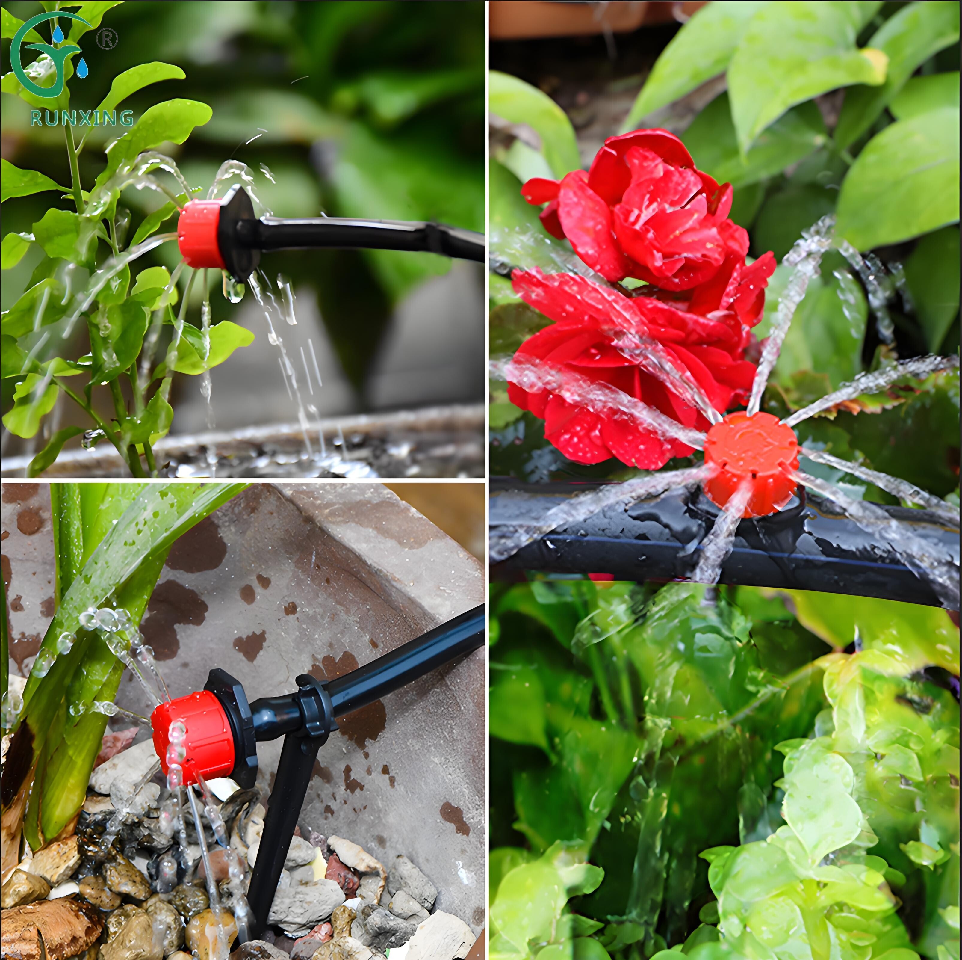 Micro Sprinklers and Drip Irrigation for Orchards Micro Sprinklers and Drip Irrigation for Orchards