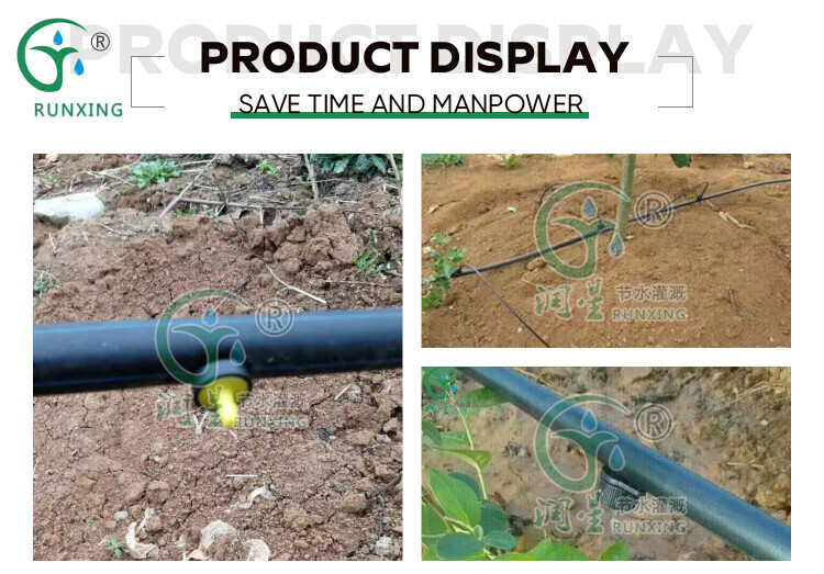 详情3.jpg 详情3.jpg