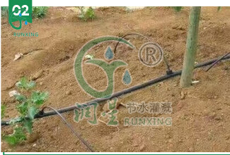 详情5.jpg 详情5.jpg