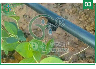 详情6.jpg 详情6.jpg