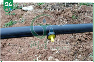 详情7.jpg 详情7.jpg