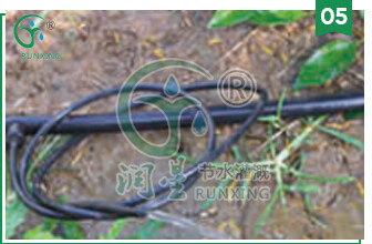 详情8.jpg 详情8.jpg