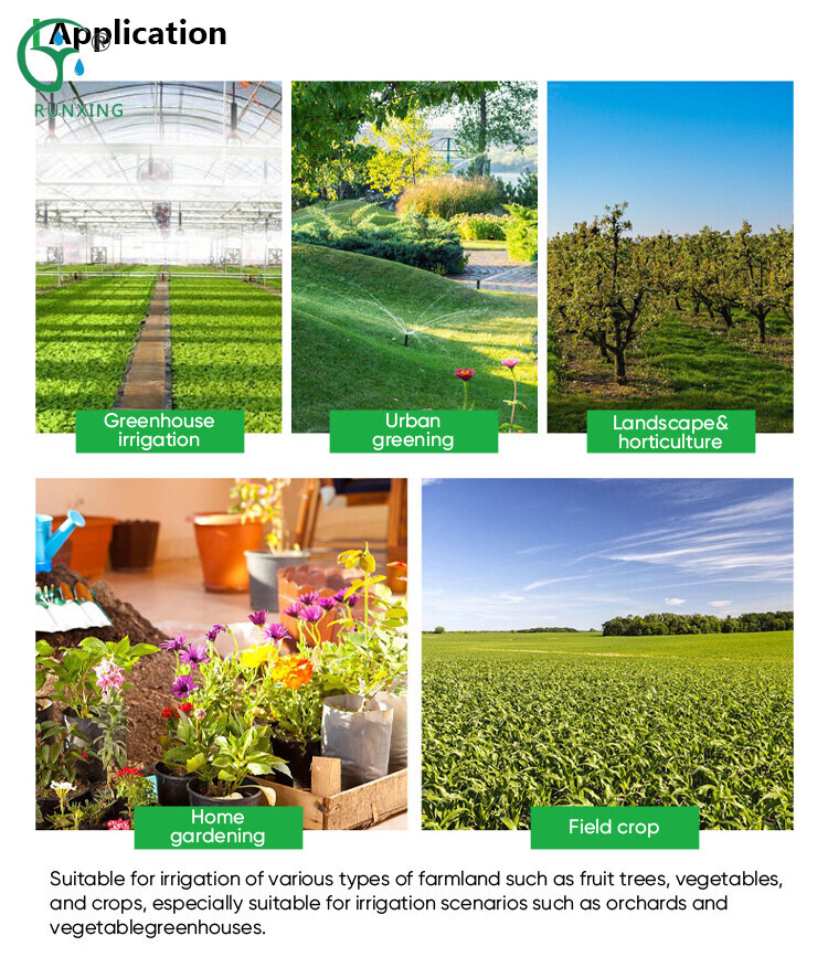 详情9.jpg 详情9.jpg