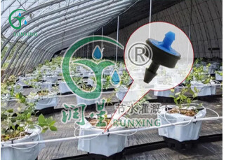 On the outer pipe-  anti drip & pressure compensation dropper