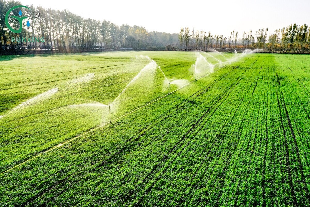 Drip Irrigation Systems for Wheat Cultivation in Argentina: Enhancing Yield and Quality Drip Irrigation Systems for Wheat Cultivation in Argentina: Enhancing Yield and Quality