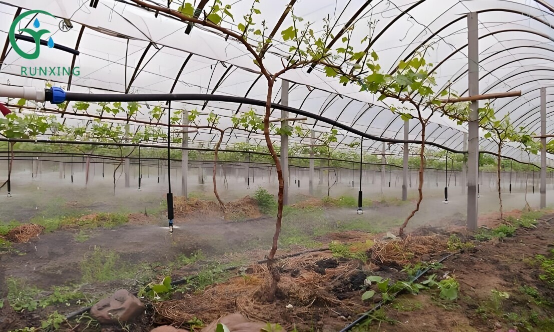 1234567.jpg 1234567.jpg