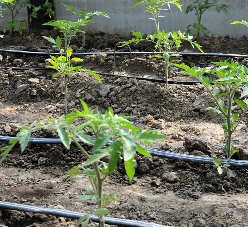 Patch Drip Irrigation Tape