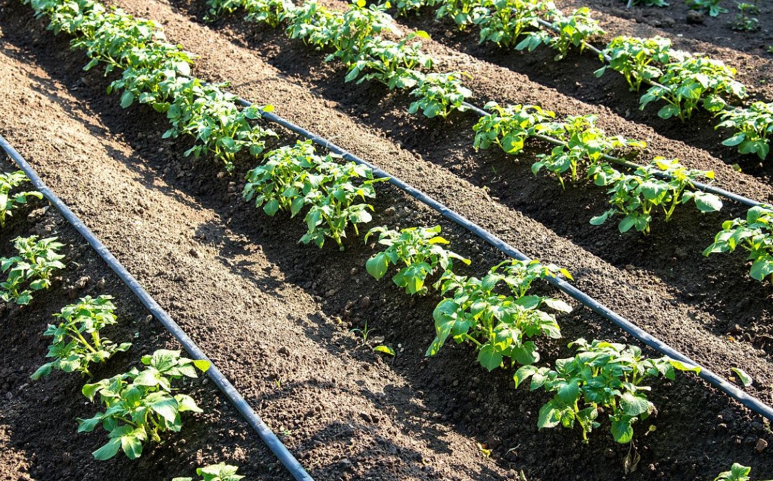 High quality drip irrigation pipe