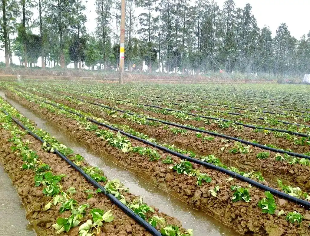 Thirsty Land? Low Yields? High Costs? This Thirsty Land? Low Yields? High Costs? This