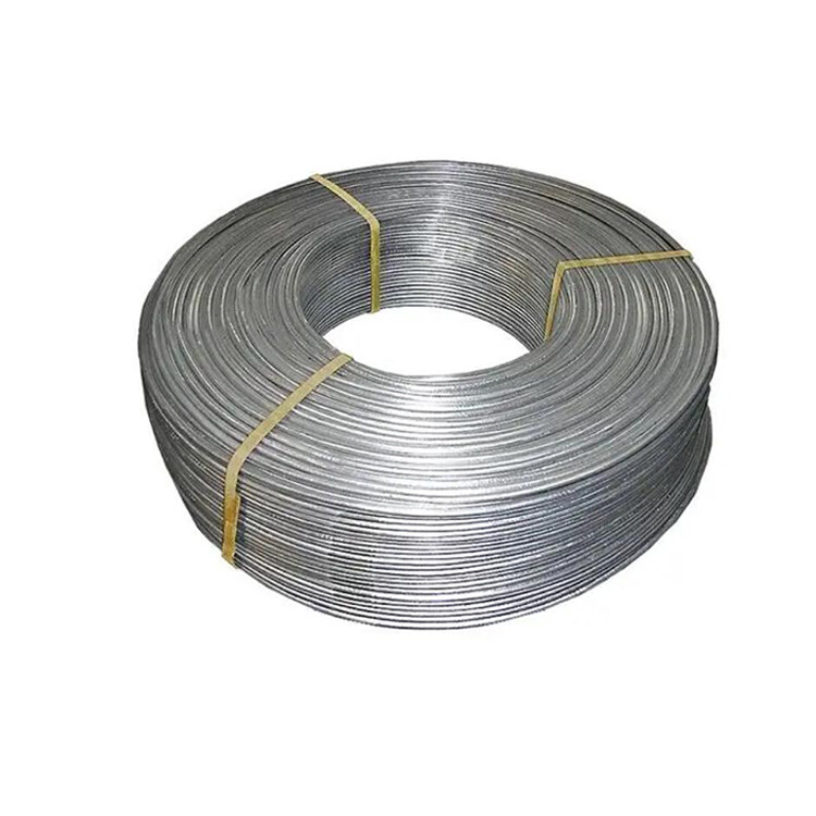 2205 Stainless  Steel Wire