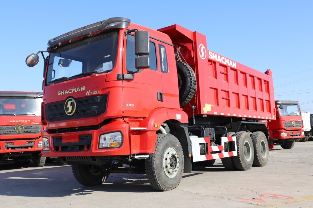h3000DUMPTRUCK (7).jpg