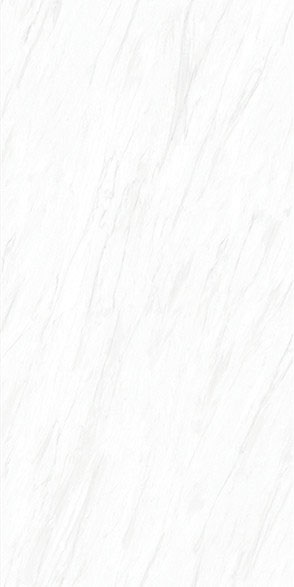 CY163212P522L -New Yashi White