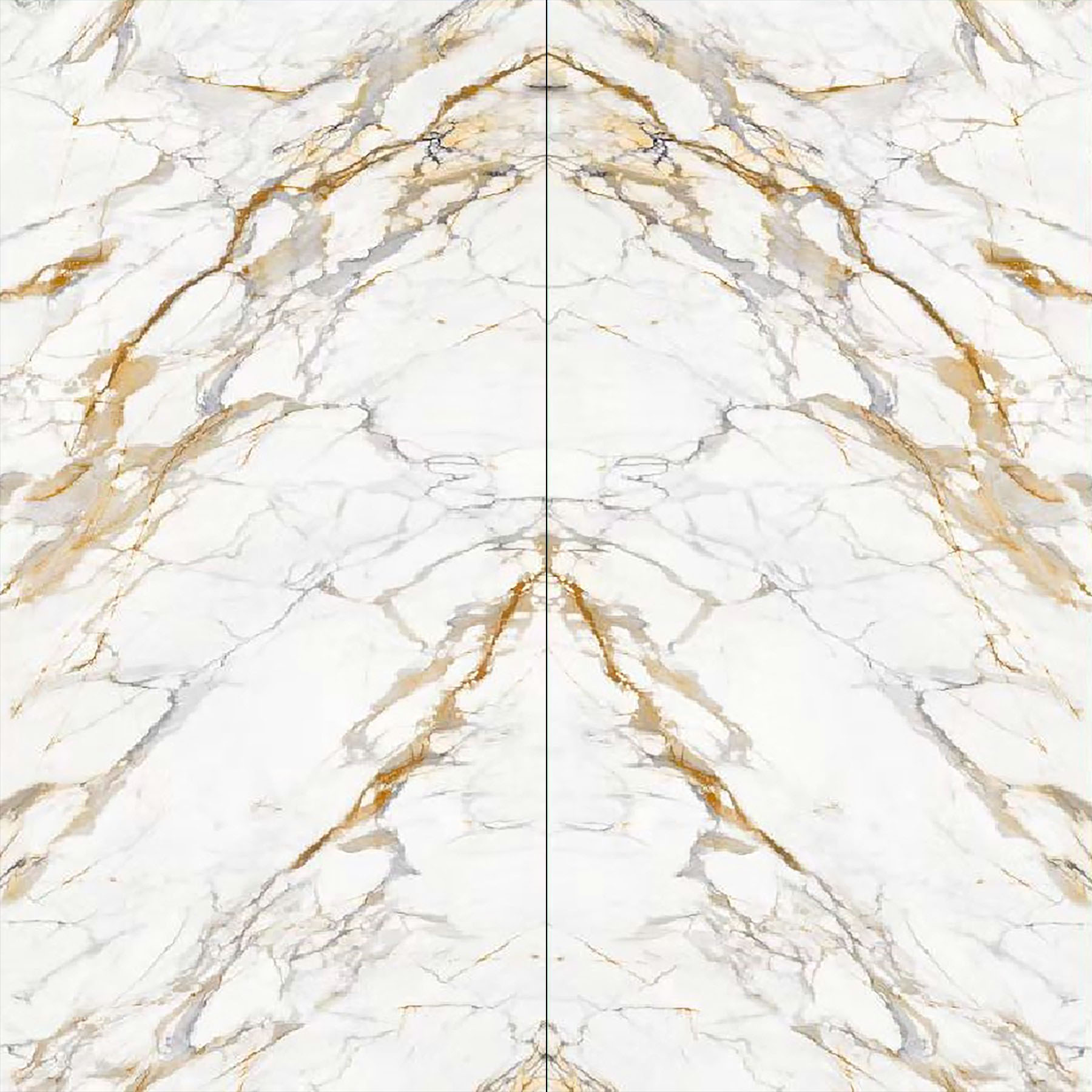 CY163212L214-Fish Maw Platinum