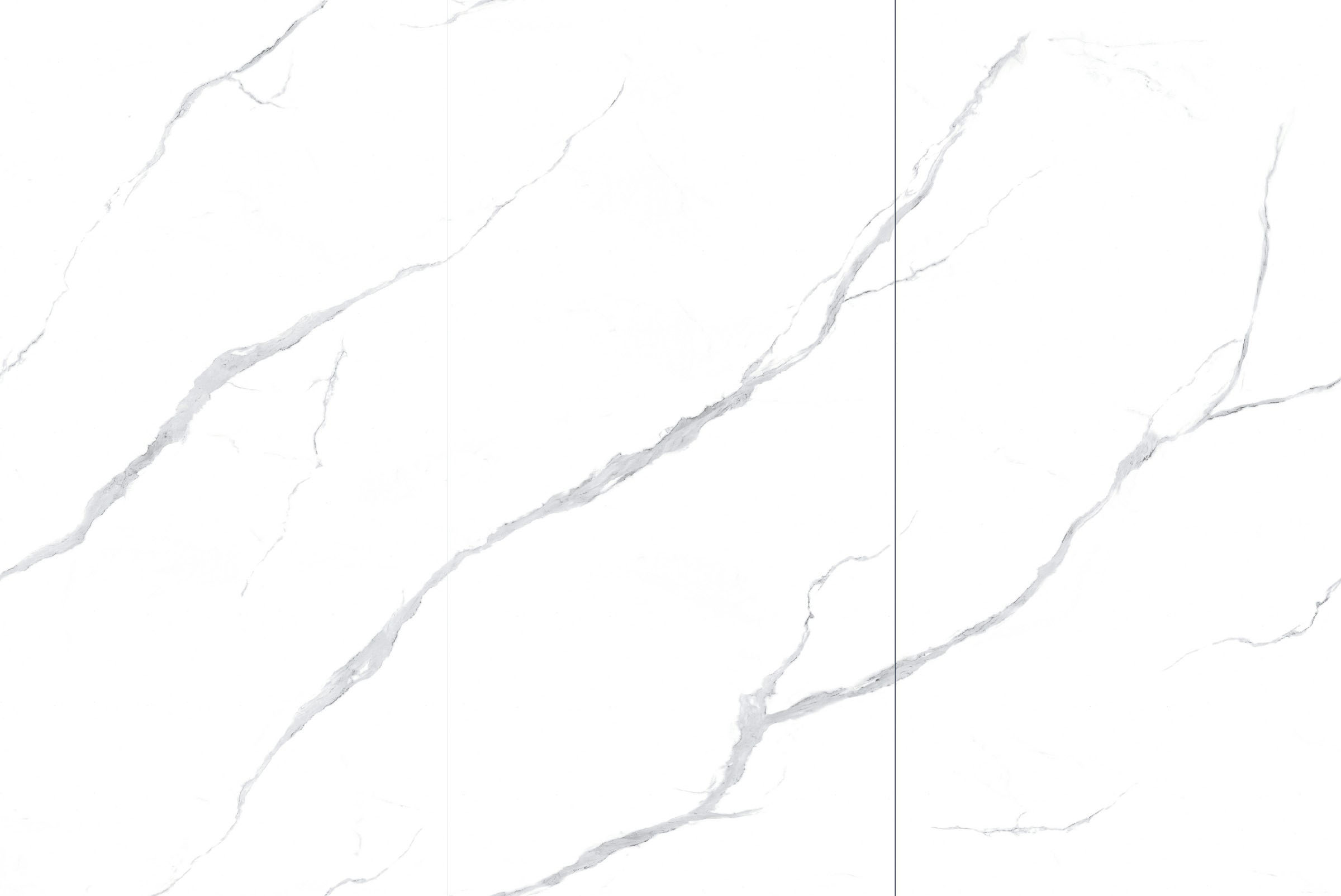 CY163212P528L -Fine white