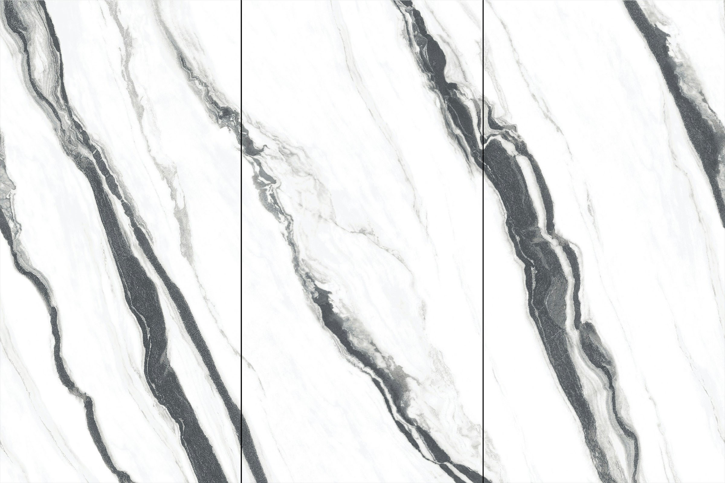 CYF163212L221-Panda White