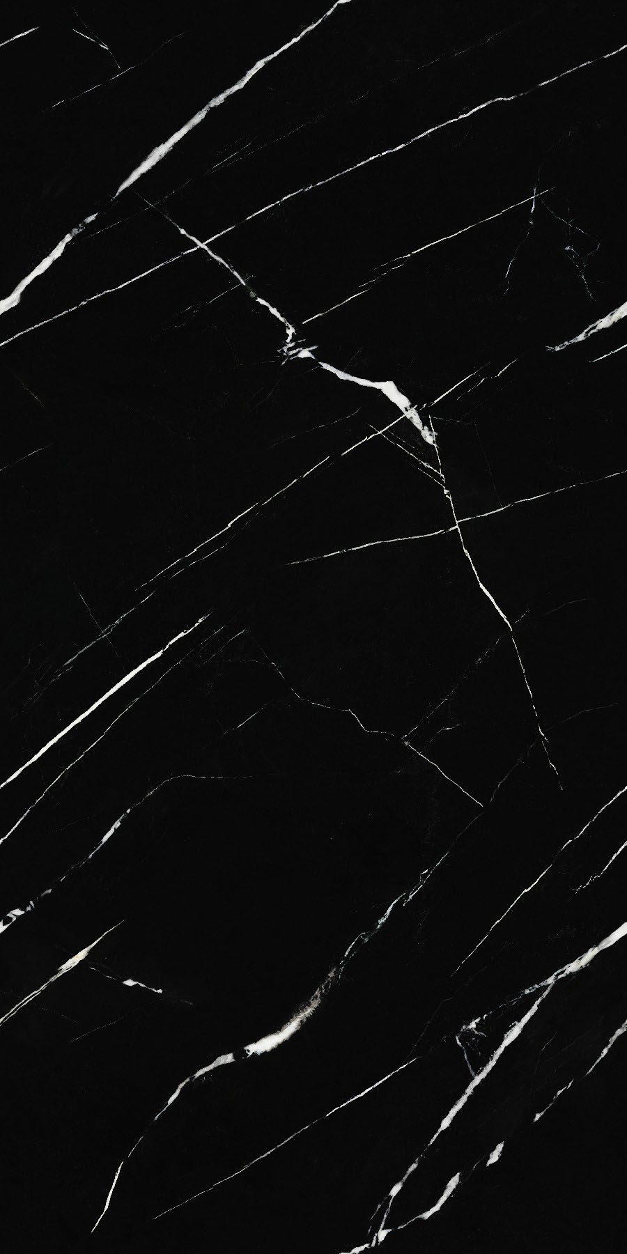 CY163212L3011-Black and white roots