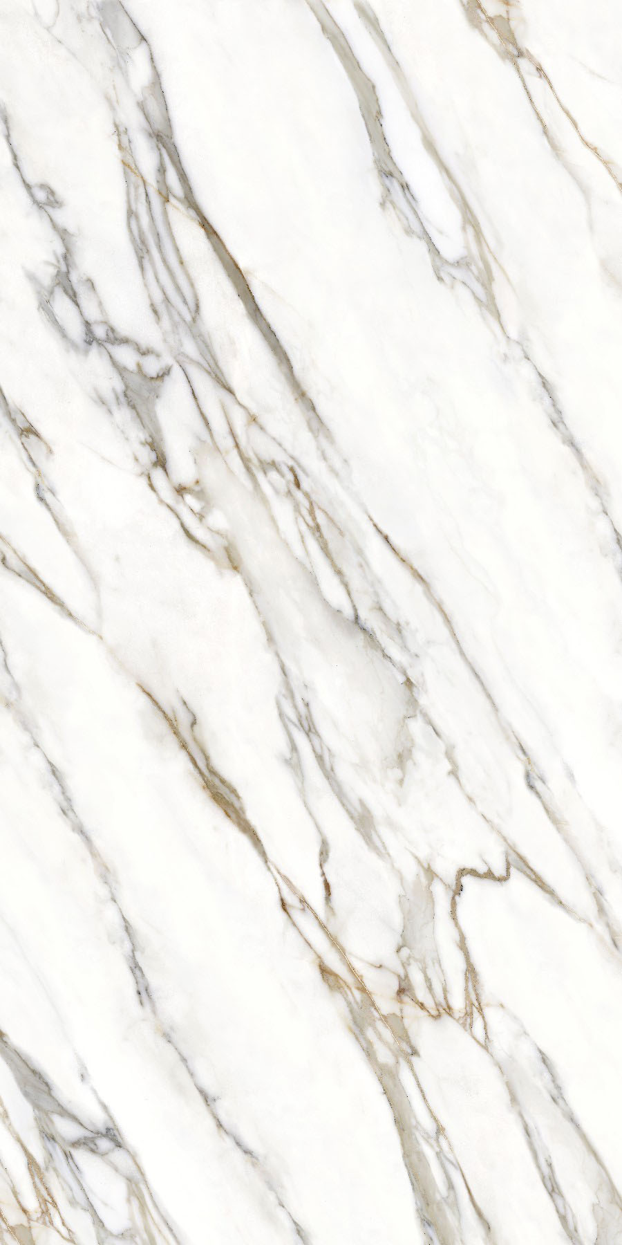 CY163212Y3036-Rampaskin