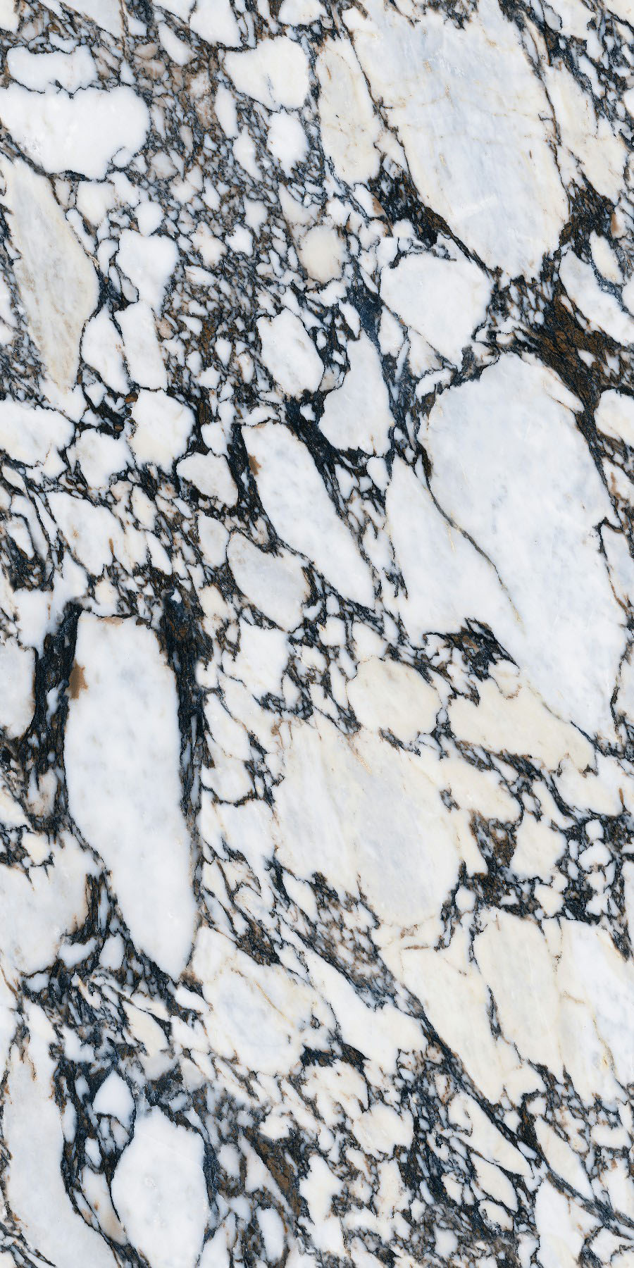 CY163212Y3054-Bulgari