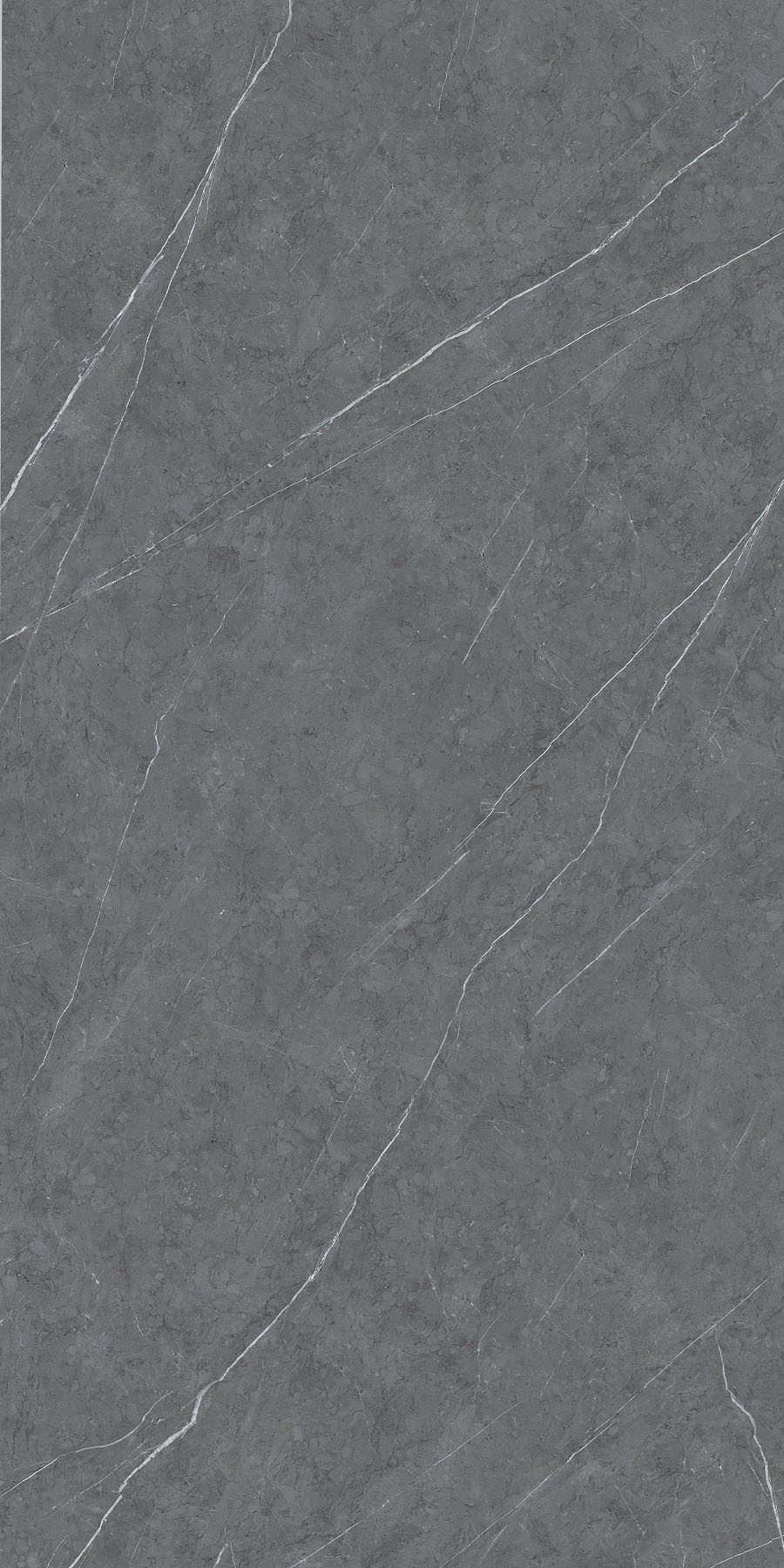 CY163212Y52-Armani Dark Grey