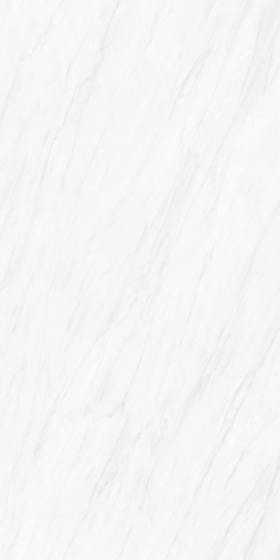 CY163212Y3031-Yashi white