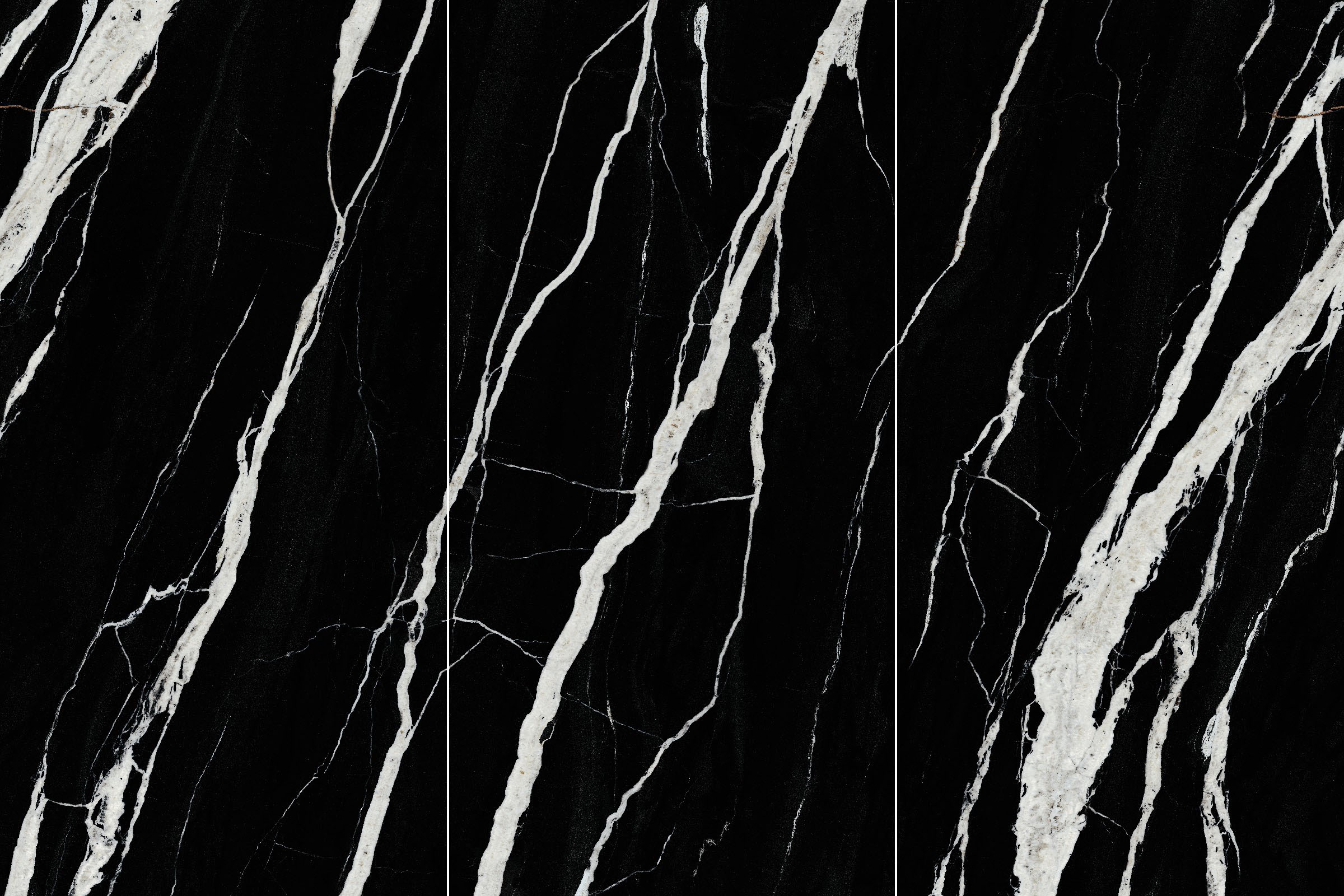 CY163212Y3042-Fossil Black