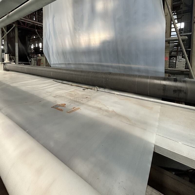 LDPE Geomembrane
