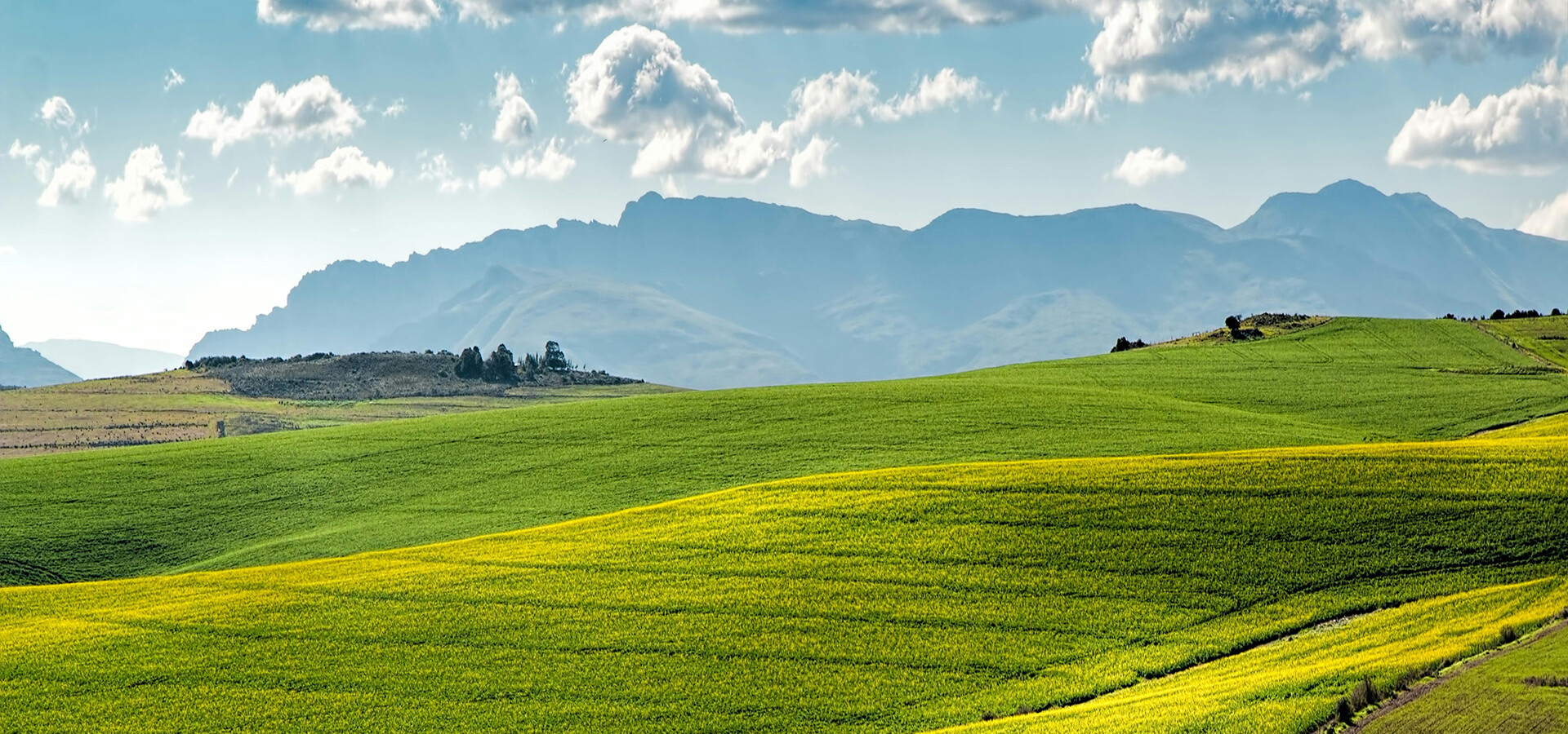 Top Industries Leveraging VTOL Fixed-Wing UAVs for Enhanced Operations