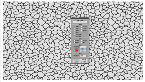 6 6