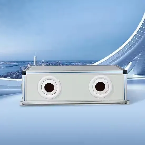 Premium Customized Ceiling and Cabinet Fresh Air HVAC System