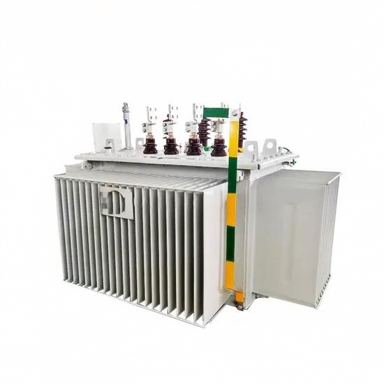 High Efficiency Customized 160kVA 22kv 0.4kv Three Phase Oil Immersed Power Transformer