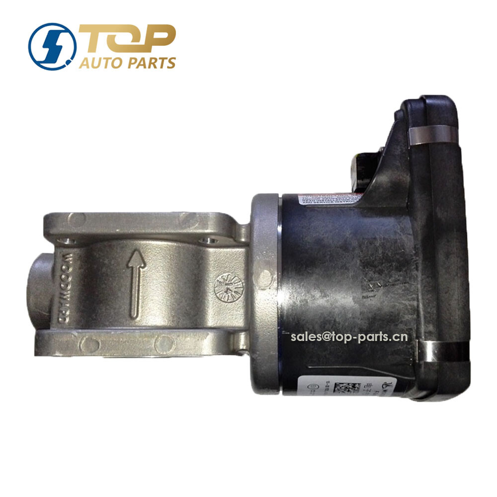 Electronic throttle-Electronic-13034246