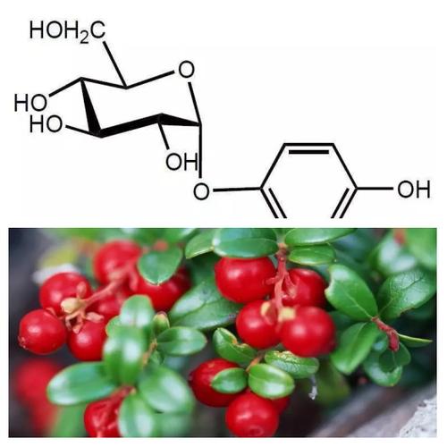 09afda6cb279ea0ff4adc3345aa443ee 09afda6cb279ea0ff4adc3345aa443ee