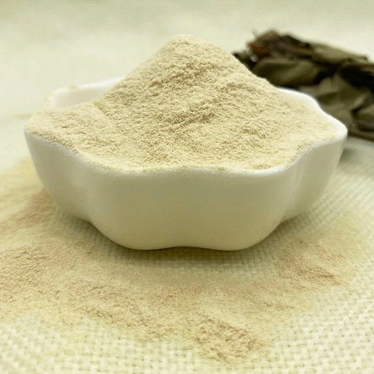 Gellan Gum