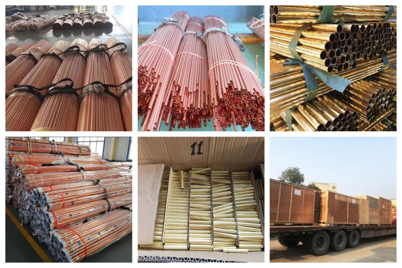 下载 - 2024-07-31T084716.880.jpg