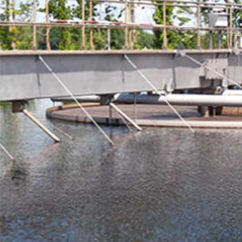 Sodium Dichloroisocyanurate