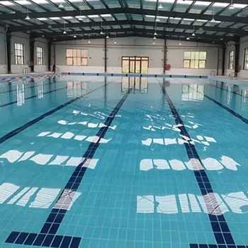 Sodium Dichloroisocyanurate