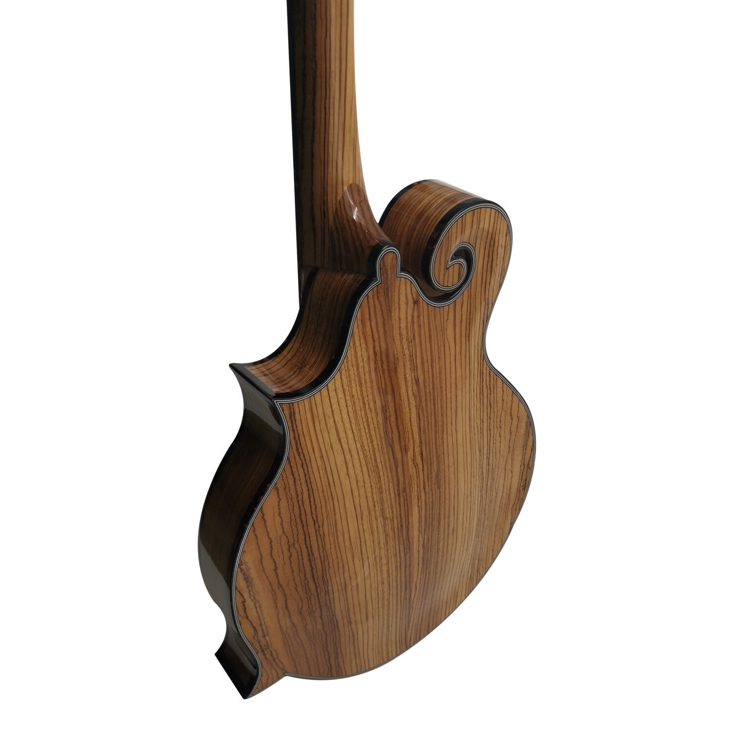 Afanti Solid Zebrawood Gloss Natural color F mandolin 