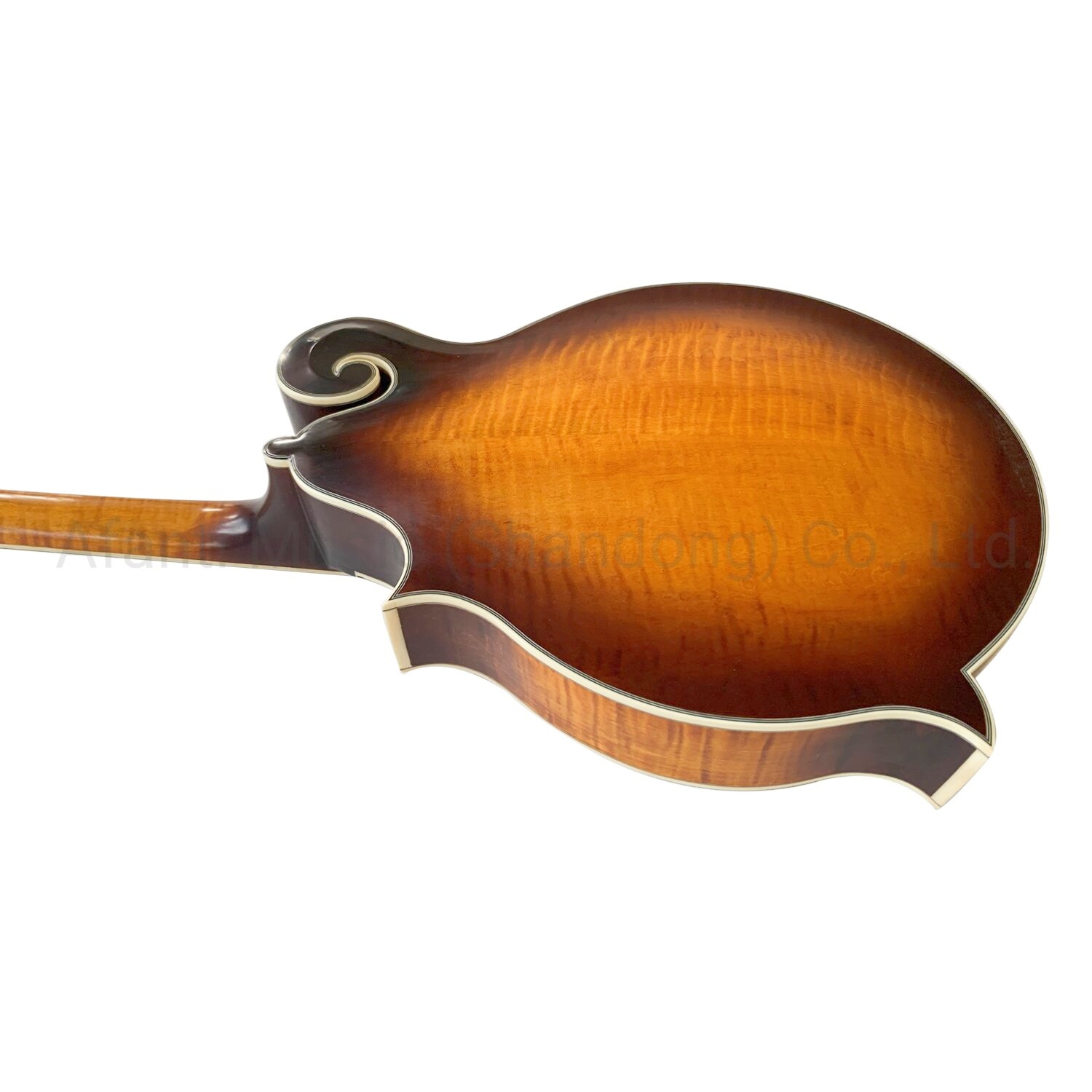 Sunburst Solid Wood Spruce Top Flamed Back Side Octave Mandolin