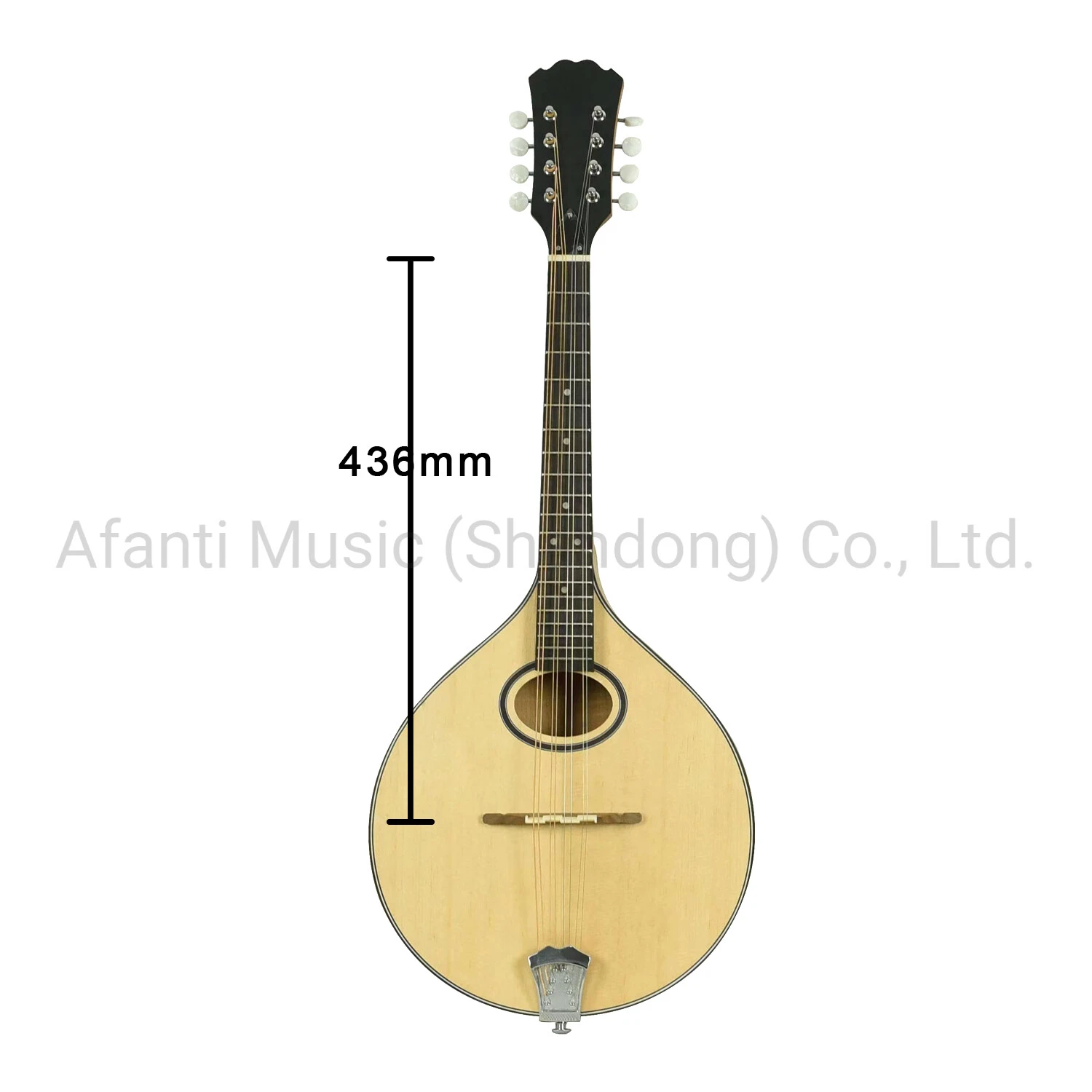 Customized Spruce Top Irish bouzouki Guitar