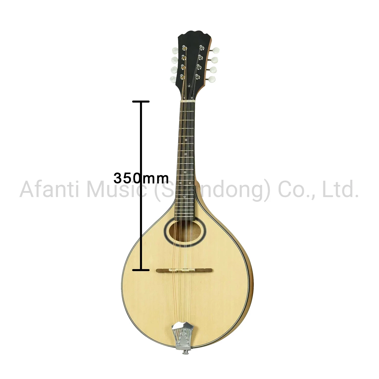 Customized Spruce Top Irish bouzouki Guitar