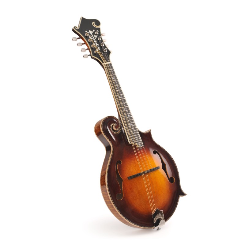 F Style Mandolin(AM-F86)