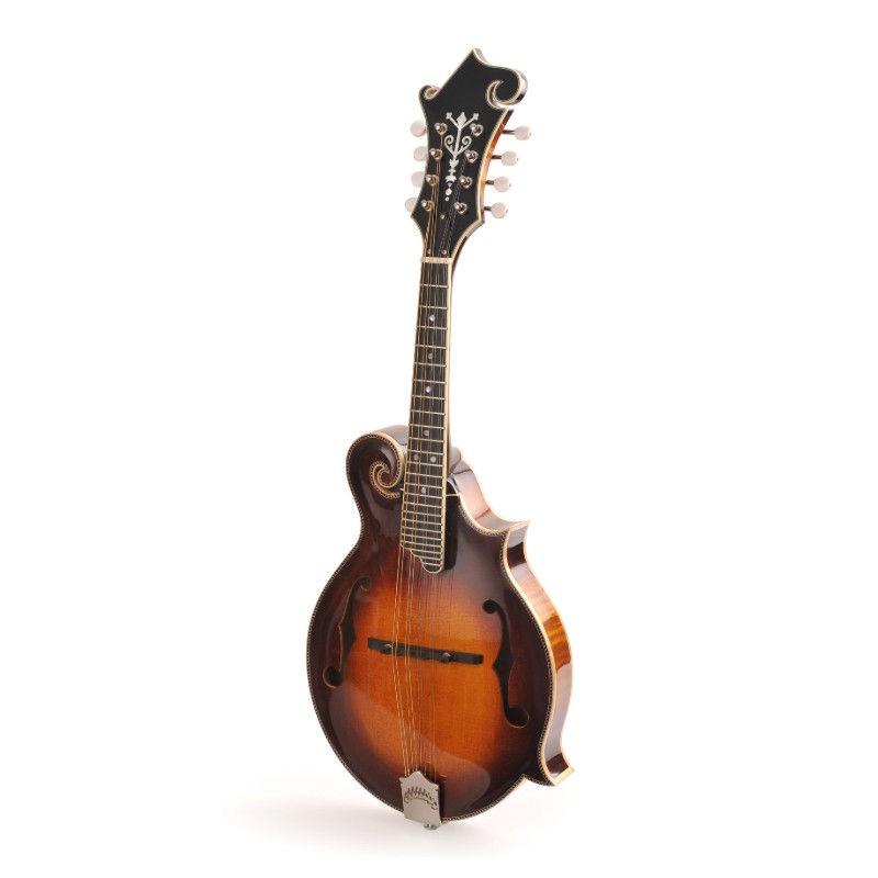 F Style Mandolin(AM-F86)