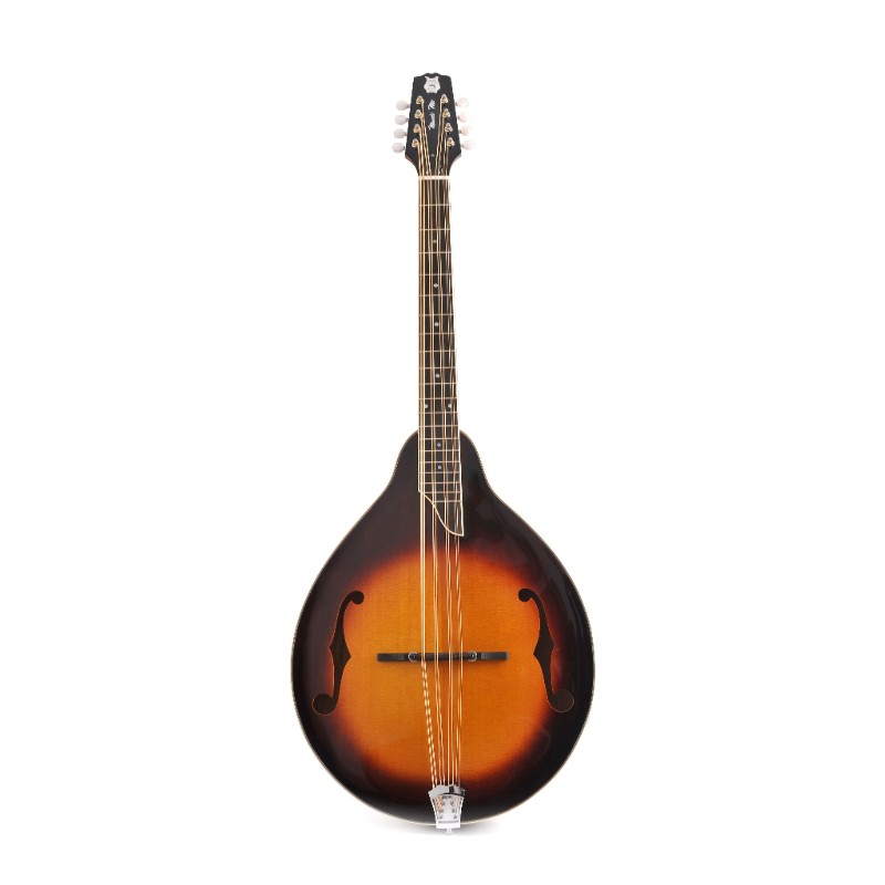 All solid wood body with carved Spruce top A style Mandocello All solid wood body with carved Spruce top A style Mandocello