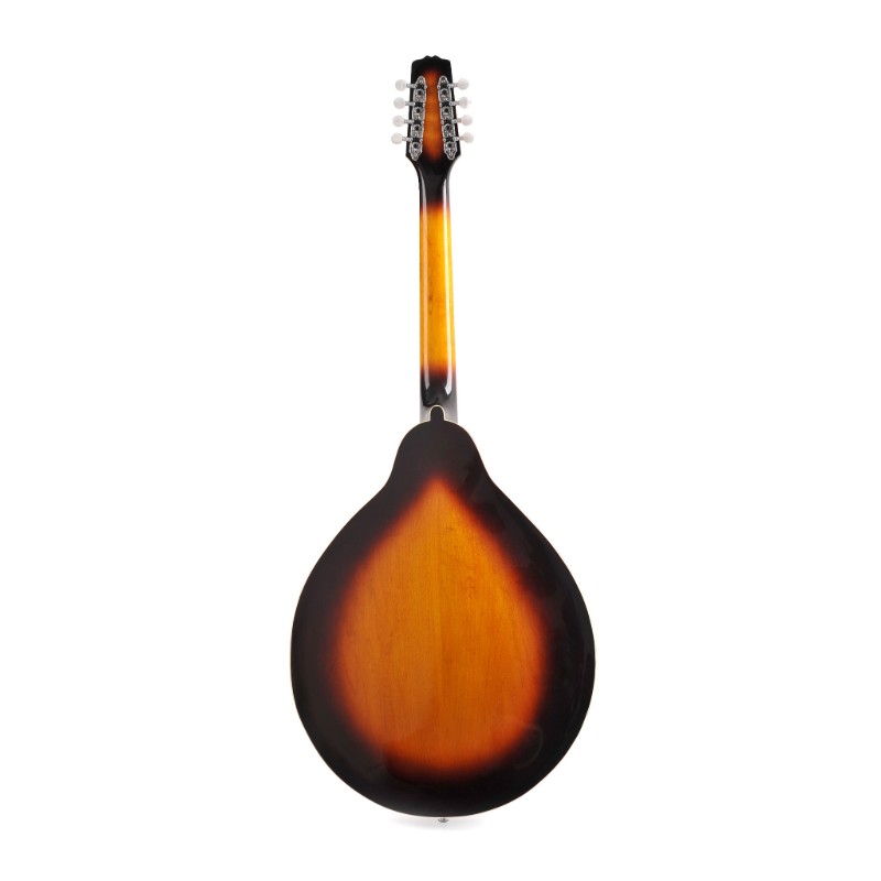 All solid wood body with carved Spruce top A style Mandocello