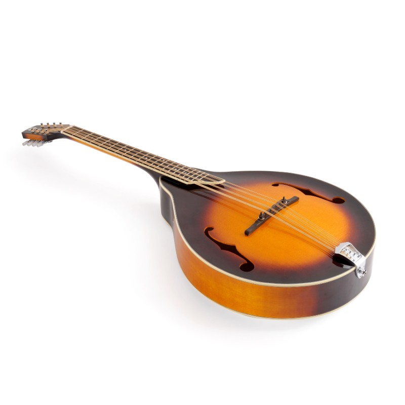 All solid wood body with carved Spruce top A style Mandocello