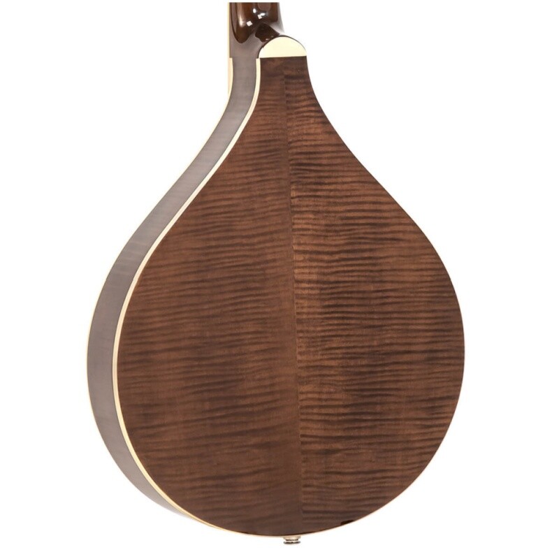 Afanti Mandola Wood Body 5 string Banjo Banjola