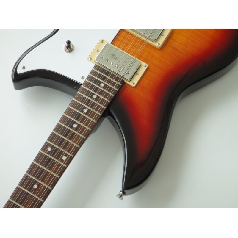 Afanti Basswood Body Maple Neck 12 String Electric Guitar