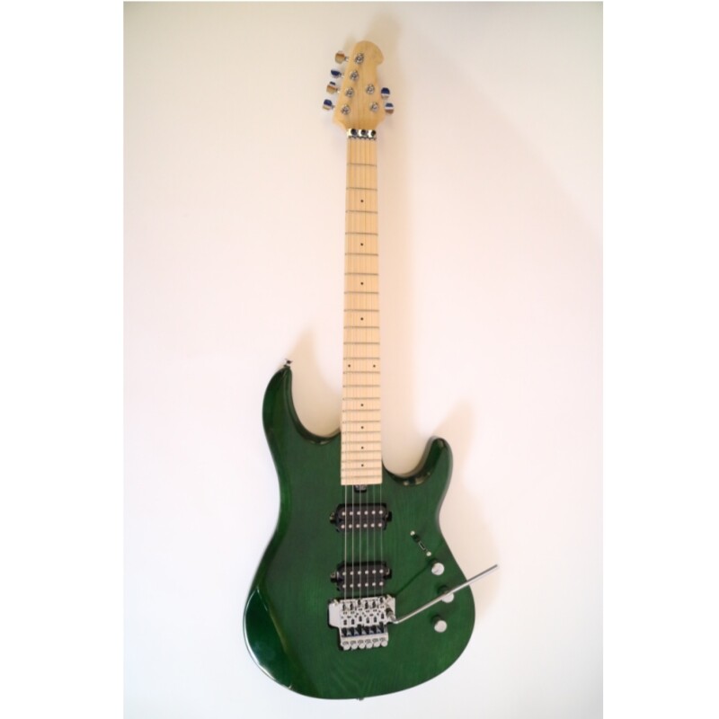 Afanti Customized 6 String Double Locking Tremolo Green Color Electric Guitar