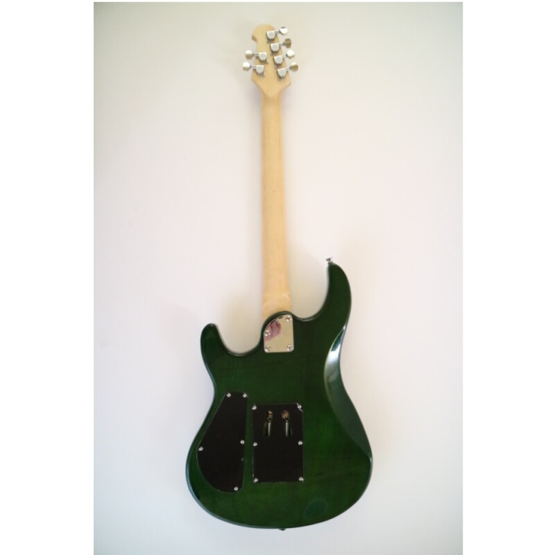 Afanti Customized 6 String Double Locking Tremolo Green Color Electric Guitar